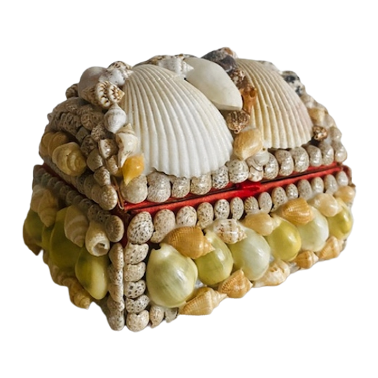 Schelpen Sieradendoosje Met Aquarium 1