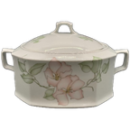 Seltmann Weiden Isabelle Pastel Terrine. thumbnail 1