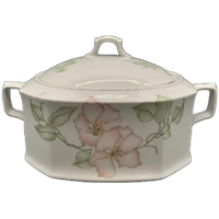 Seltmann Weiden Isabelle Pastel Terrine.