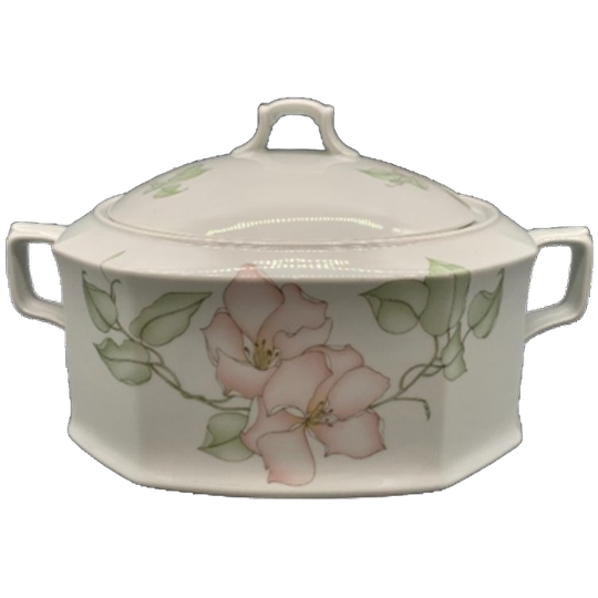 Seltmann Weiden Isabelle Pastel Terrine. 1