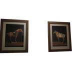 Deense G&C Interiors Wanddecoratie Kunst (Portretten Van Tan Paarden) thumbnail 1