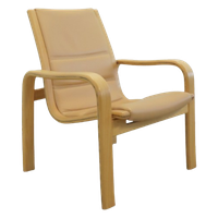 Yngve Ekstrom Voor Swedese Fauteuil Vintage Damesmodel
