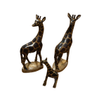 Giraffe Familie thumbnail 1