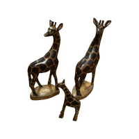 Giraffe Familie