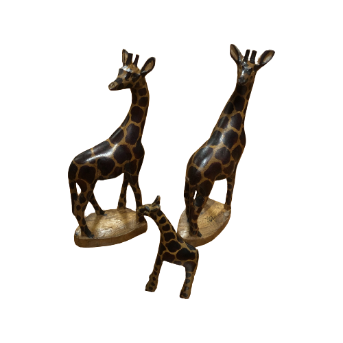 Giraffe Familie