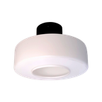 Plafondlampen Jaren 60 – Philips – Raak - (pc47) thumbnail 1