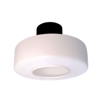 Plafondlampen Jaren 60 – Philips – Raak - (pc47)