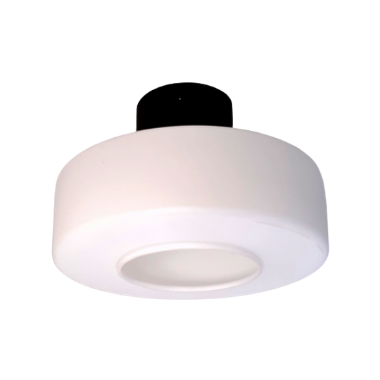 Plafondlampen Jaren 60 – Philips – Raak - (pc47) 1