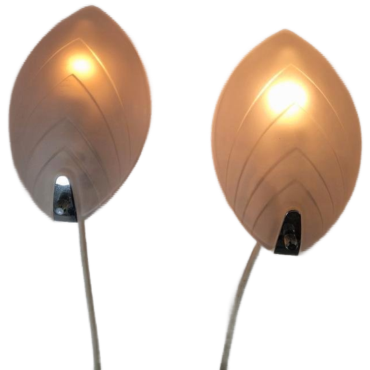 Een Paar Blad Schelp Vormige Vintage Wandlampen 1