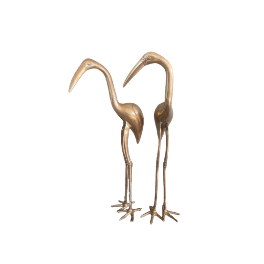 Xxl Kraanvogelset 1