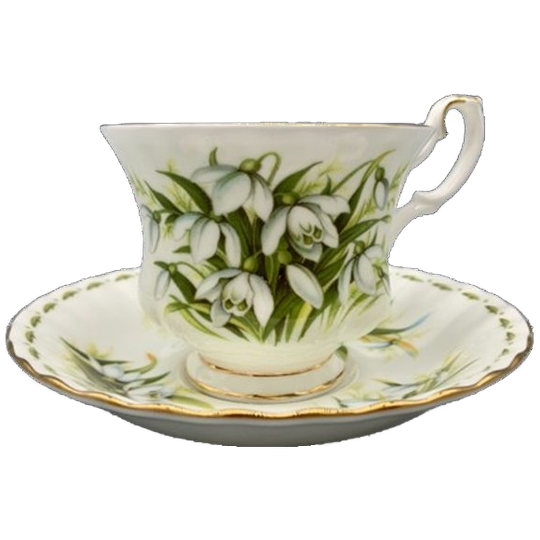 Royal Albert Flower Of The Month January Kop En Schotel 1