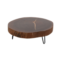 Boomstamtafel Met Nieuwe Poten 70864