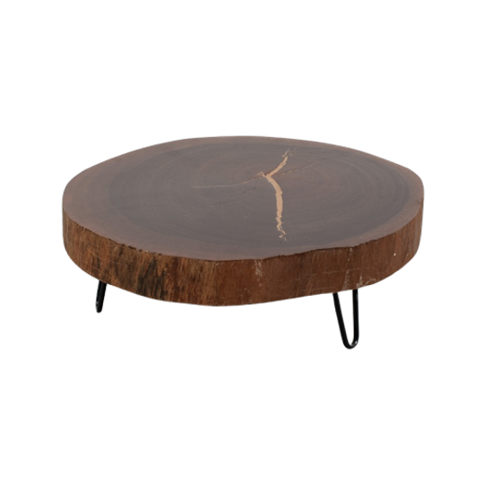 Boomstamtafel Met Nieuwe Poten 70864 1