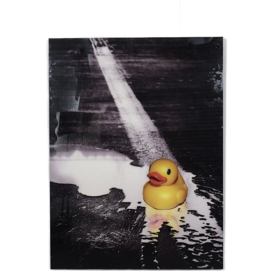 Ivana Vostrakova – “spring Swimming” Digital Artwork, 2013 1