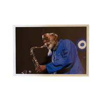 Pharoah Sanders At The Krakow Jazz Festival  | Photo