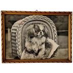Vintage Lijstje Met Foto Zwart Wit Van Een Hond thumbnail 1