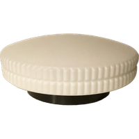 Rzb Plafondlamp Jaren 60