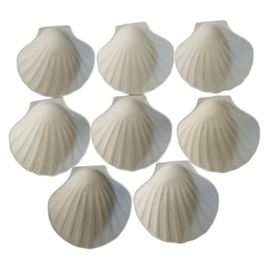 Set Van 8 Schelpschaaltjes 1