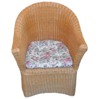 Rotan Armfauteuil