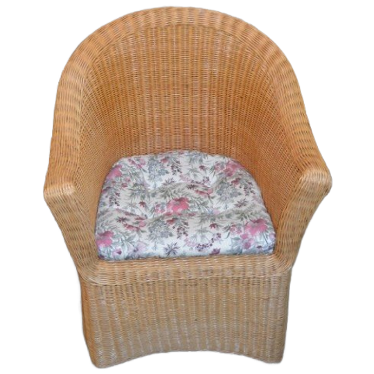 Rotan Armfauteuil 1