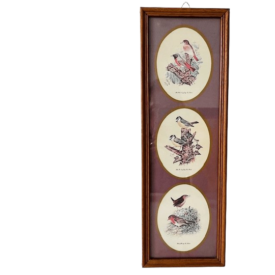 Vintage Ingelijste Prent Met Drie Vogel Tafereeltjes Schilderij 1