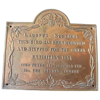Plaquette - Great Exhibition 1851 Taxidermy Exhibit Plaque - Lagopus Scoticus
