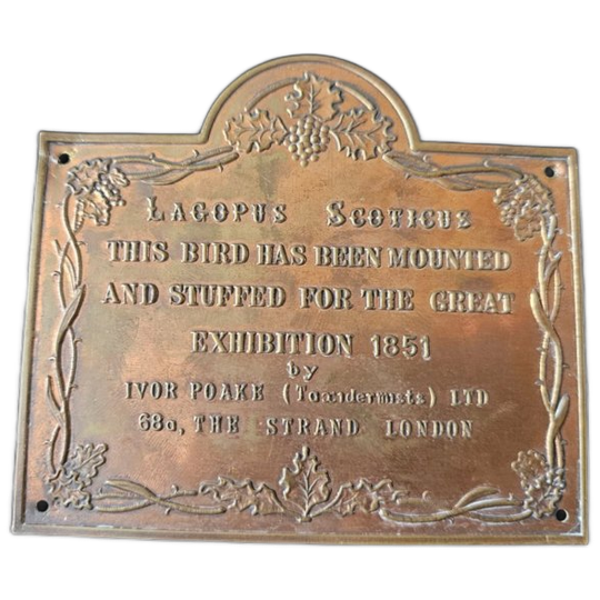 Plaquette - Great Exhibition 1851 Taxidermy Exhibit Plaque - Lagopus Scoticus 1