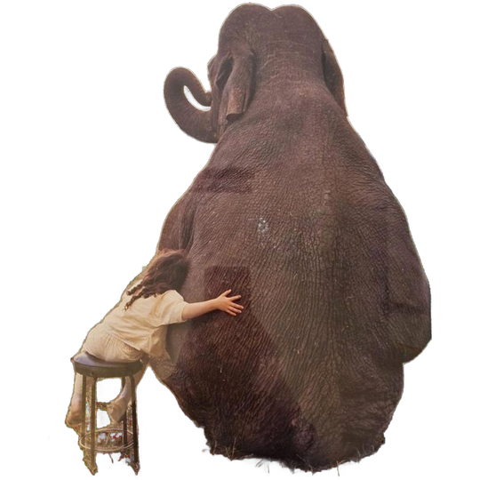Jaren 70 Vintage Poster In Lijst Olifant Schilderij 1