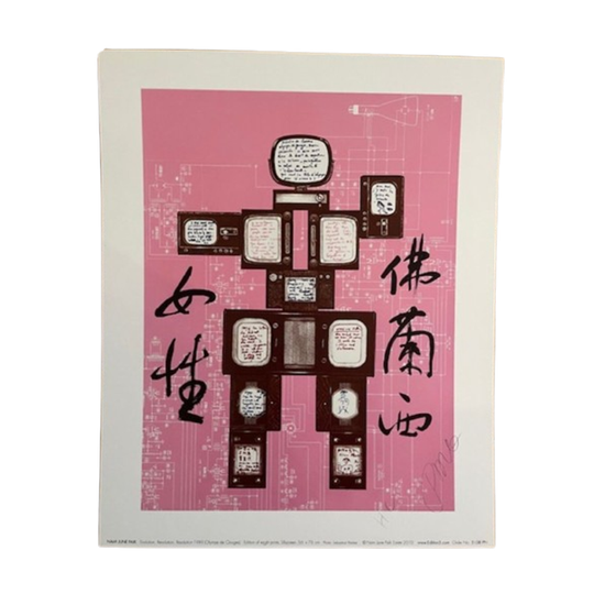 Nam June Paik After (1932-2006), Evolution, 1