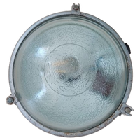 Industriële Wand- Of Plafond Lampen