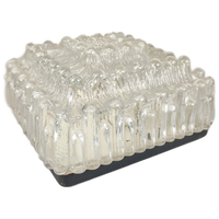 Vierkante Glazen Plafondlamp