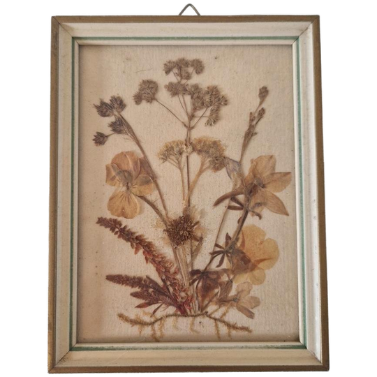 Vintage Lijstje Met Droogbloemen Ingelijsd Jaren 50 / 60 1