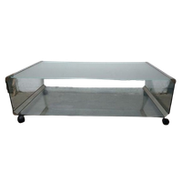 Gallotti & Radice Design Coffee Table