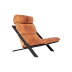 De Sede Ds 80 Fauteuil, Ueli Berger 1970S thumbnail 1