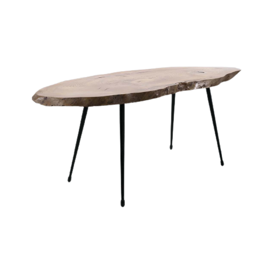 Boomstam Salontafel 60052 1