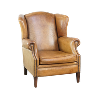Prachtige Schapenleren Oorfauteuil Met Een Zeer Mooie Kleur En Patina