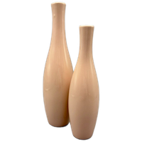 Set Pastel Roze Vaasjes 2 Stuks 80'S