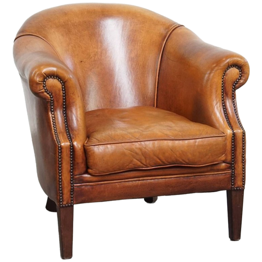 Charmante En Comfortabele Schapenleren Clubfauteuil Met Prachtige Kleuren 1