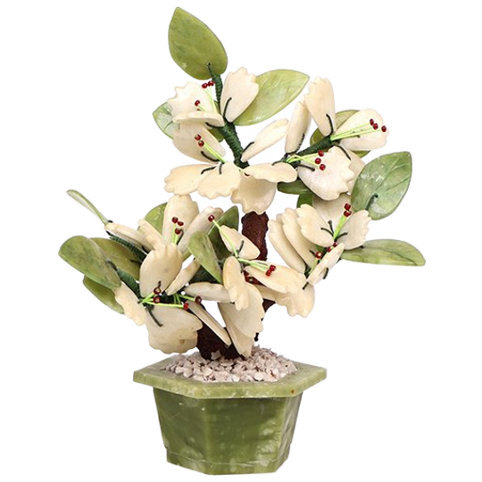 Vintage Bonsai Boompje Van Jade Met Bloesem, 1970s 1