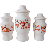 Vintage Melkglas Voorraadpotten Voorraadpot Bloesem