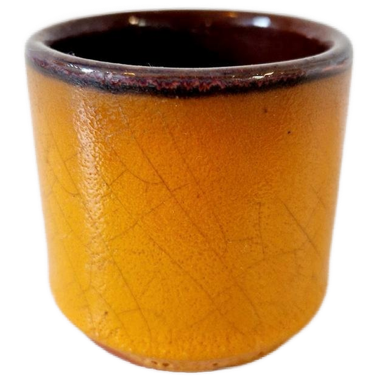 70's Vintage Bloempotje Oranje Minipotje Kamerplant Pot 1
