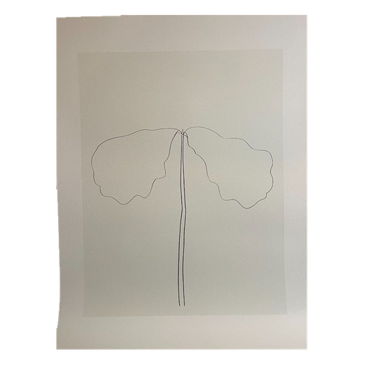 Ellsworth Kelly (1923-2015), Chêne, 1964 1