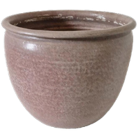 Xxl Vintage Bloempot Voor Palm Of Kamerplant Retro Pot