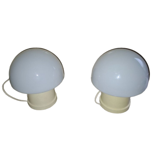 Massive Mushroom Lampjes 1