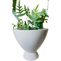 Grote Planten Pot