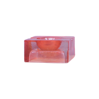 Roze Glazen Asbak
