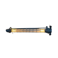 Industriële Tube Lamp Ccp Xl