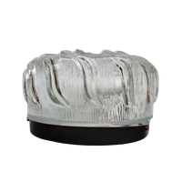 Vintage Plafondlamp Plafonnière Wandlamp Glas Organisch