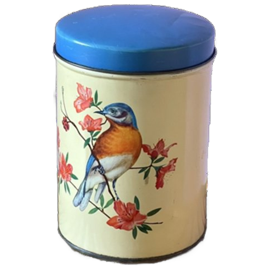 Brocante Vogelblik Vintage Curiosa 1