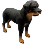 Vintage Beeld Rottweiler Handbeschilderd Italië thumbnail 1